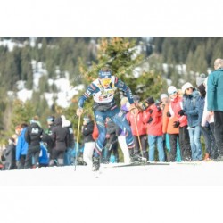 24ETDS_2734