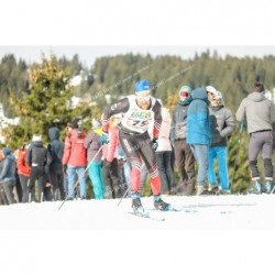 24ETDS_2804