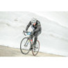 24GLBCH_2015