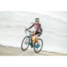 24GLBCH_2019