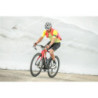 24GLBCH_2079
