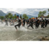 24ALPSHALF_1042