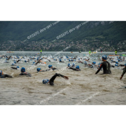 24ALPSHALF_1050