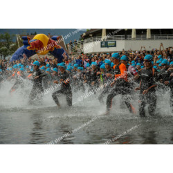 24ALPSHALF_1079