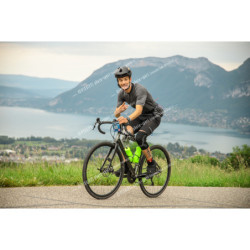 24ALPSHALF_2885