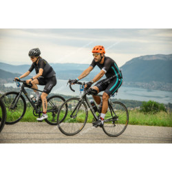 24ALPSHALF_2899
