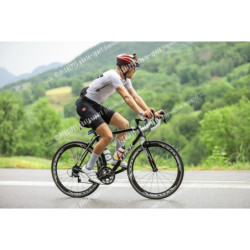 24ALPSHALF_4501