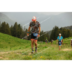 24ALPSHALF_8214