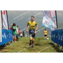 24ALPSHALF_9216