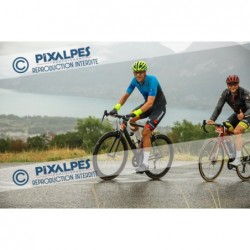 23DVLA_1077